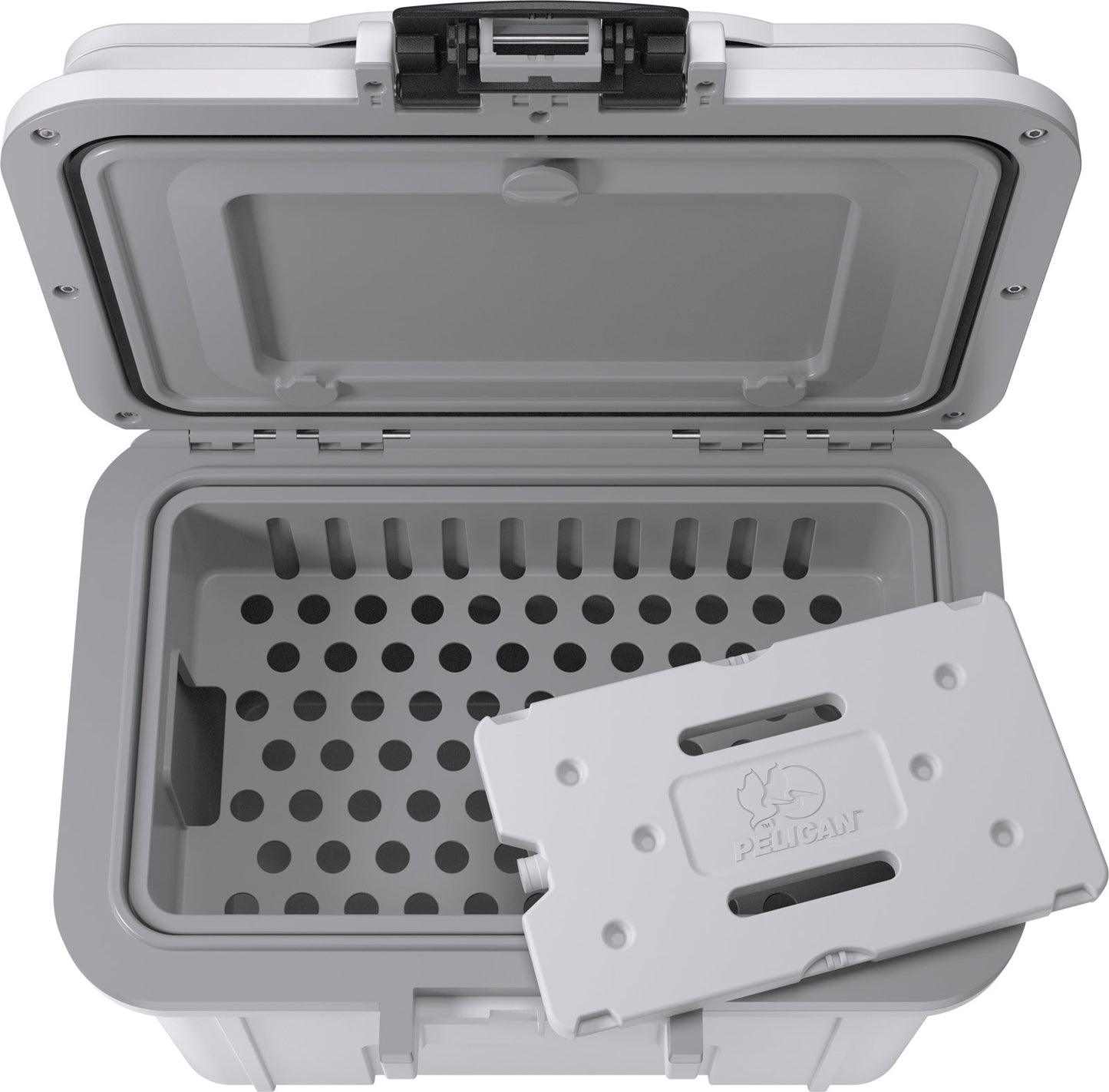 8 Quart Personal Cooler