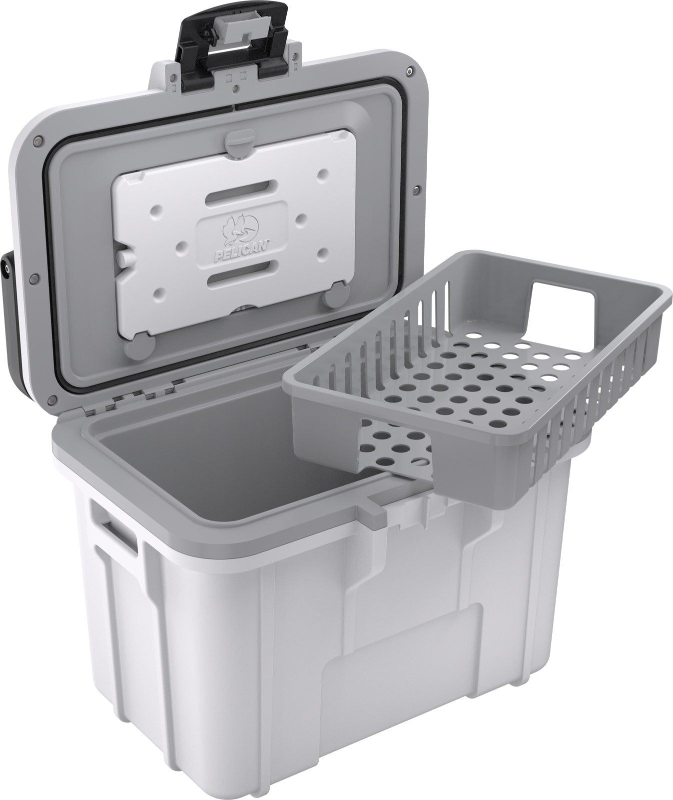 8 Quart Personal Cooler